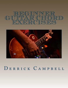 Beginner Guitar Book